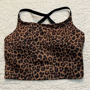 Leopard Print Crop Top